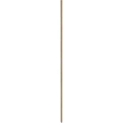 Greenes Fence 6 Ft. Wood Plant Stake